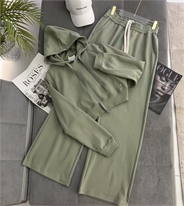 Костюм двойка женский 10355