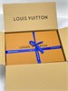 Сумка. Louis Vuitton 10153